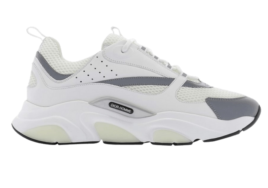 DIOR B22 WHITE/GREY